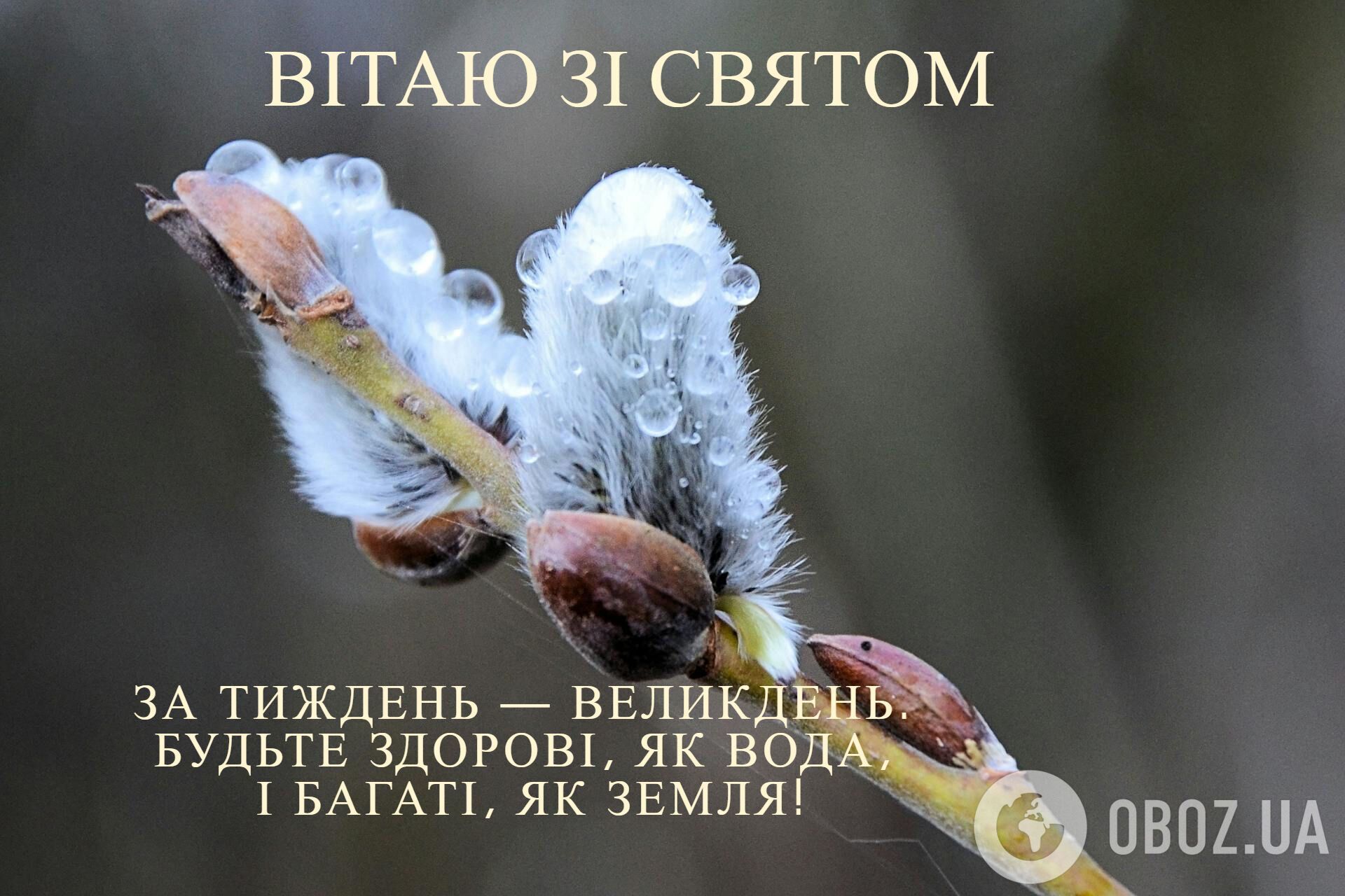 Картинки з Вербною неділею: привітання, листівки, оригінальні побажання для рідних та друзів
