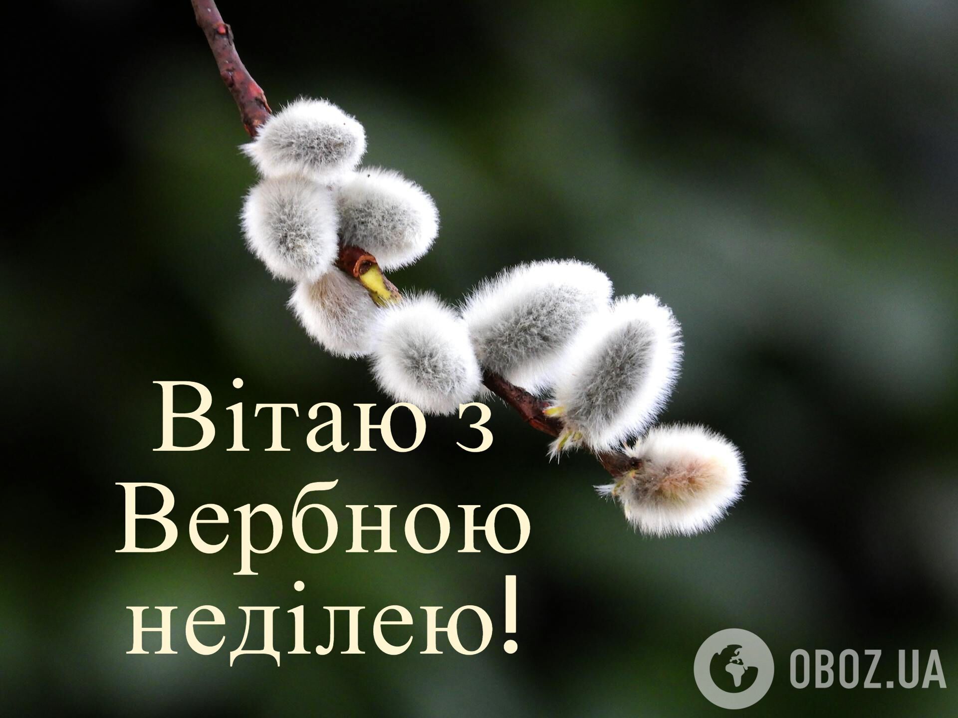 Картинки з Вербною неділею: привітання, листівки, оригінальні побажання для рідних та друзів