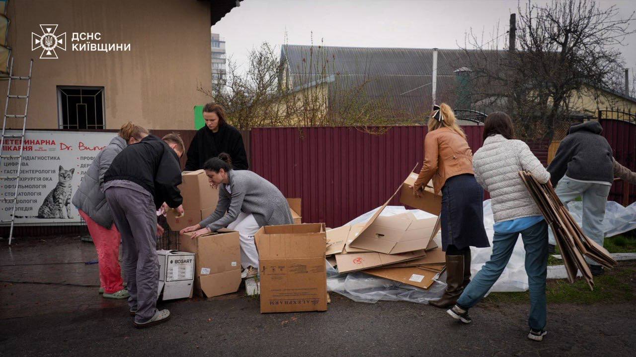 Россия уничтожила ветклинику под Киевом, погибли животные. Все подробности, фото и видео