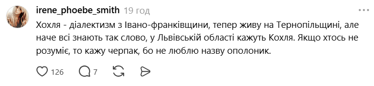 Черпак, кохля или половник? Как назвать большую ложку, которой наливают жидкие блюда: в сети дискуссия