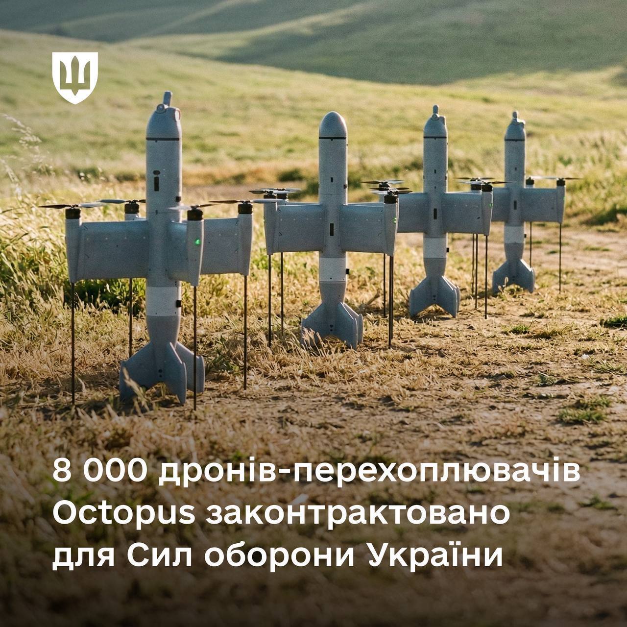 Силы обороны получат 8 тысяч дронов-перехватчиков Octopus: что о них известно. Фото