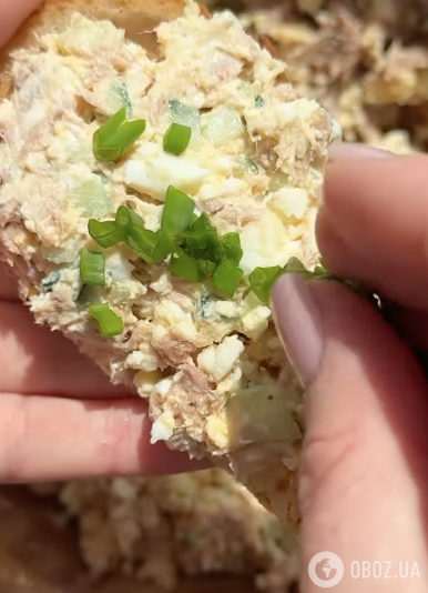 Полезная белковая намазка из яиц и тунца для завтрака: делимся легким рецептом