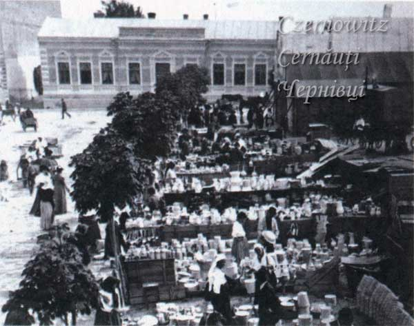 Черновцы в начале ХХ века: каким был город более 100 лет назад