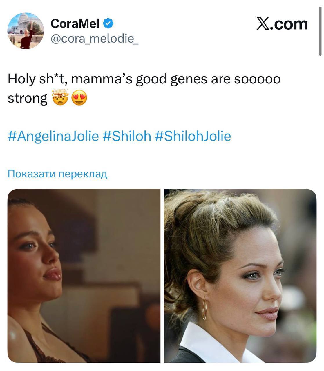 19-річна донька Анджеліни Джолі вразила мережу неймовірною схожістю із зірковою мамою. Фотопорівняння