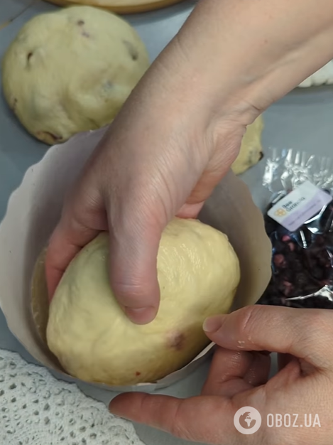 Пухка сирна паска з дріжджового тіста: ділимось покроковим рецептом