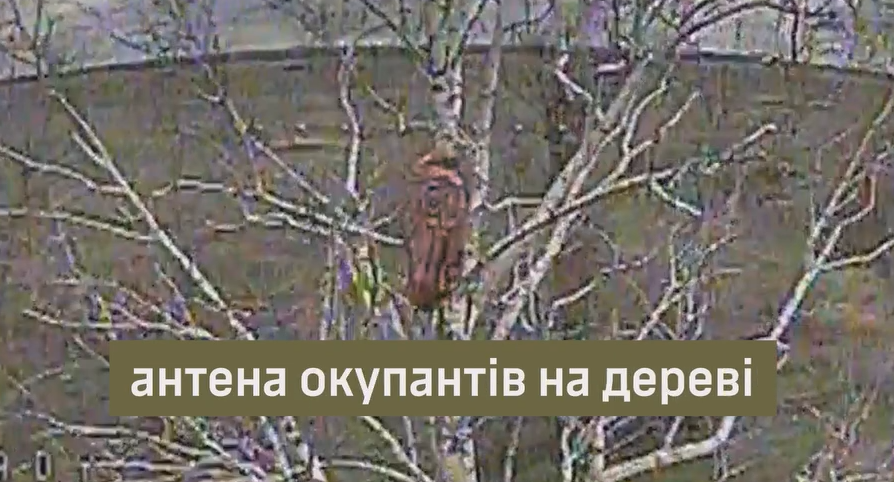 Оккупанты устанавливают антенны на деревьях для связи и координации: в ВСУ показали, как уничтожают технику врага. Видео