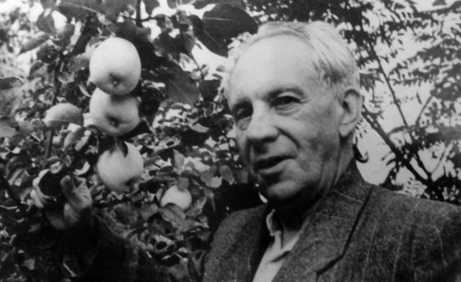 "Белые мухи налетели..." В каком месте покоится автор бессмертных стихов Максим Рыльский и какой урок он оставил будущим поколениям