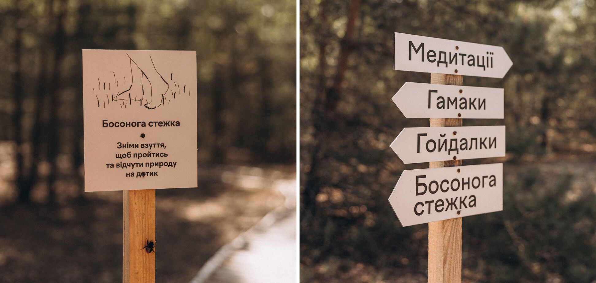 Место перезагрузки и силы: комплекс УЛІС.Дудки под Киевом, где вы сможете насладиться отдыхом с полным комфортом