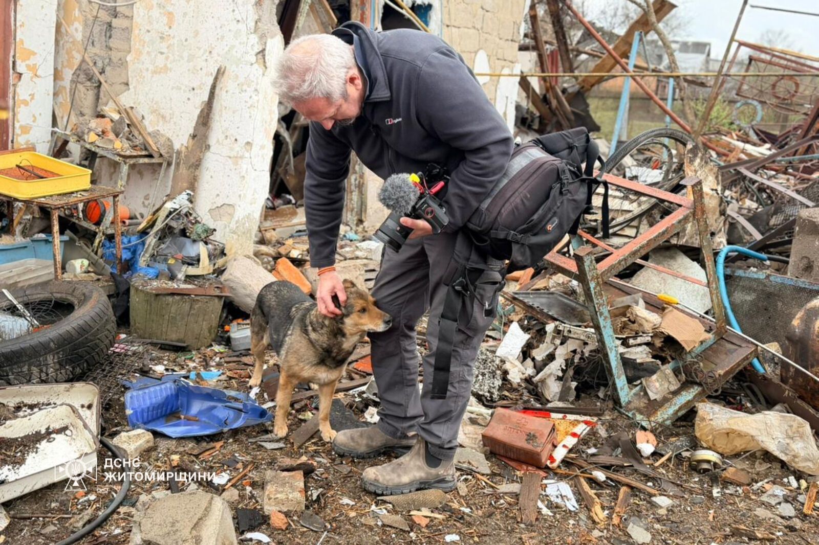 "Серце розривається": мережу вразили кадри з собакою, який плакав на руїнах знищеного Росією будинку. Фото і відео