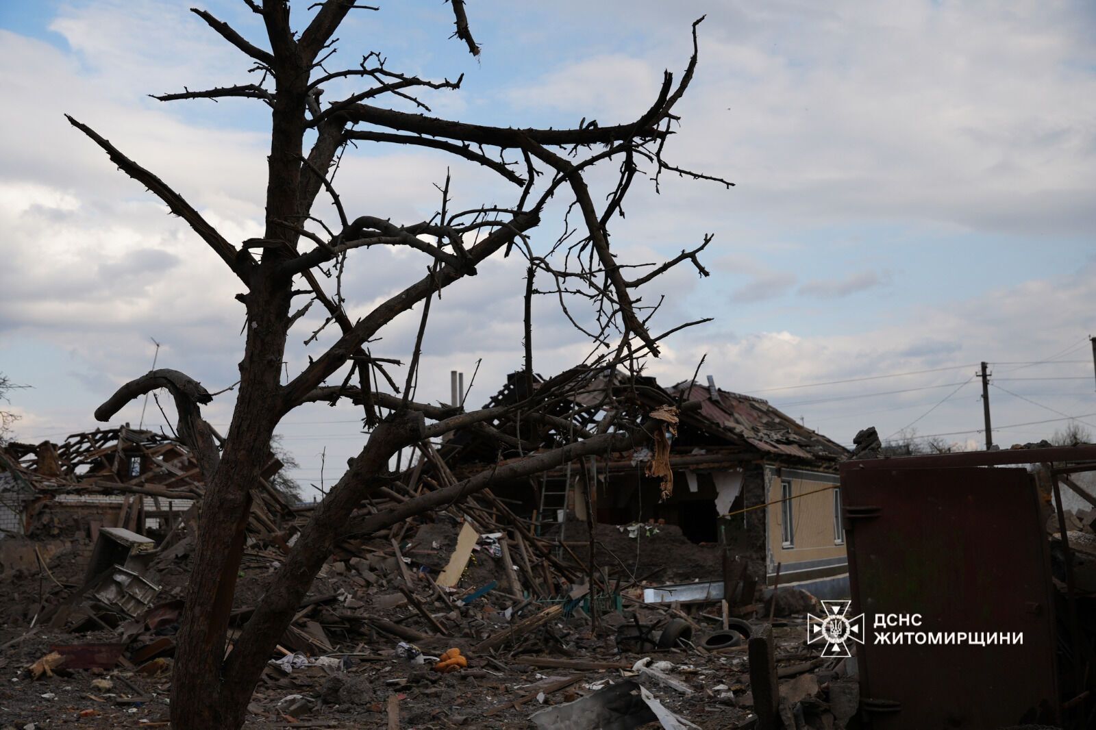 "Серце розривається": мережу вразили кадри з собакою, який плакав на руїнах знищеного Росією будинку. Фото і відео