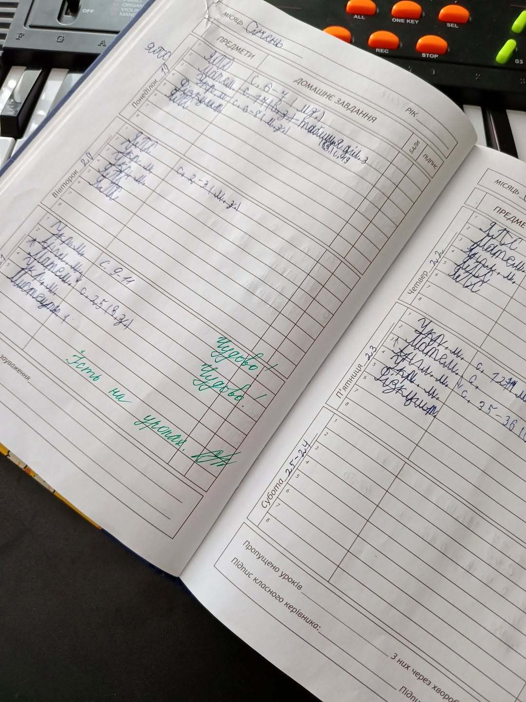 "А як же дні тижня рахувати?" Педагоги і батьки школярів посперечались через паперові та електронні щоденники