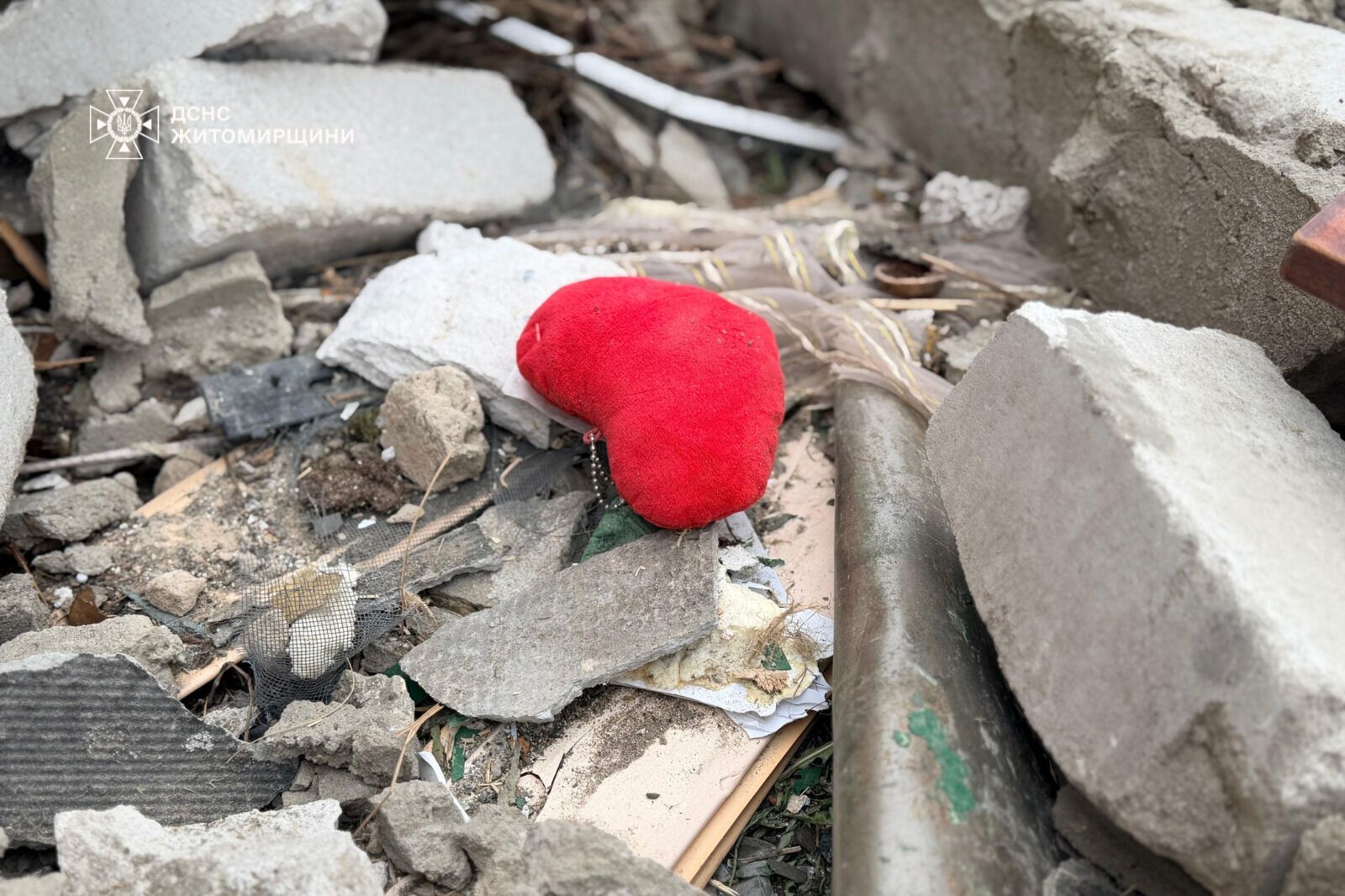 "Серце розривається": мережу вразили кадри з собакою, який плакав на руїнах знищеного Росією будинку. Фото і відео