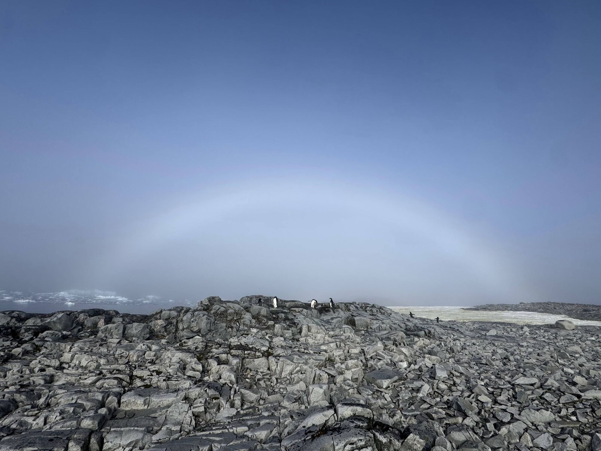 Украинские ученые со станции "Академик Вернадский" показали белую радугу. Фото