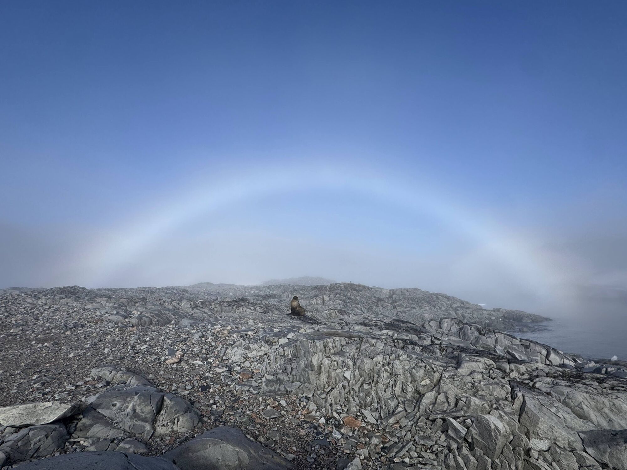 Украинские ученые со станции "Академик Вернадский" показали белую радугу. Фото