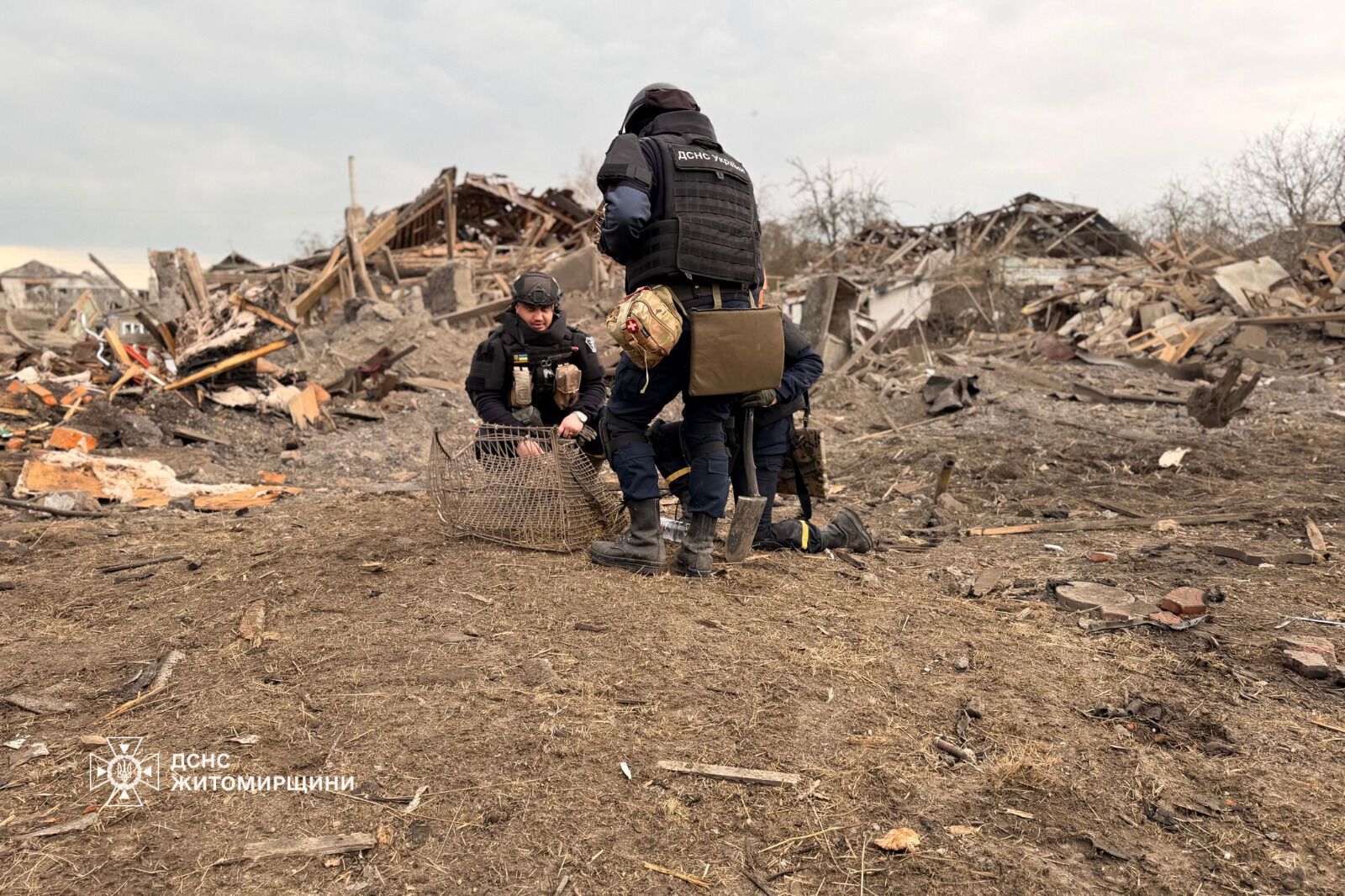 "Серце розривається": мережу вразили кадри з собакою, який плакав на руїнах знищеного Росією будинку. Фото і відео