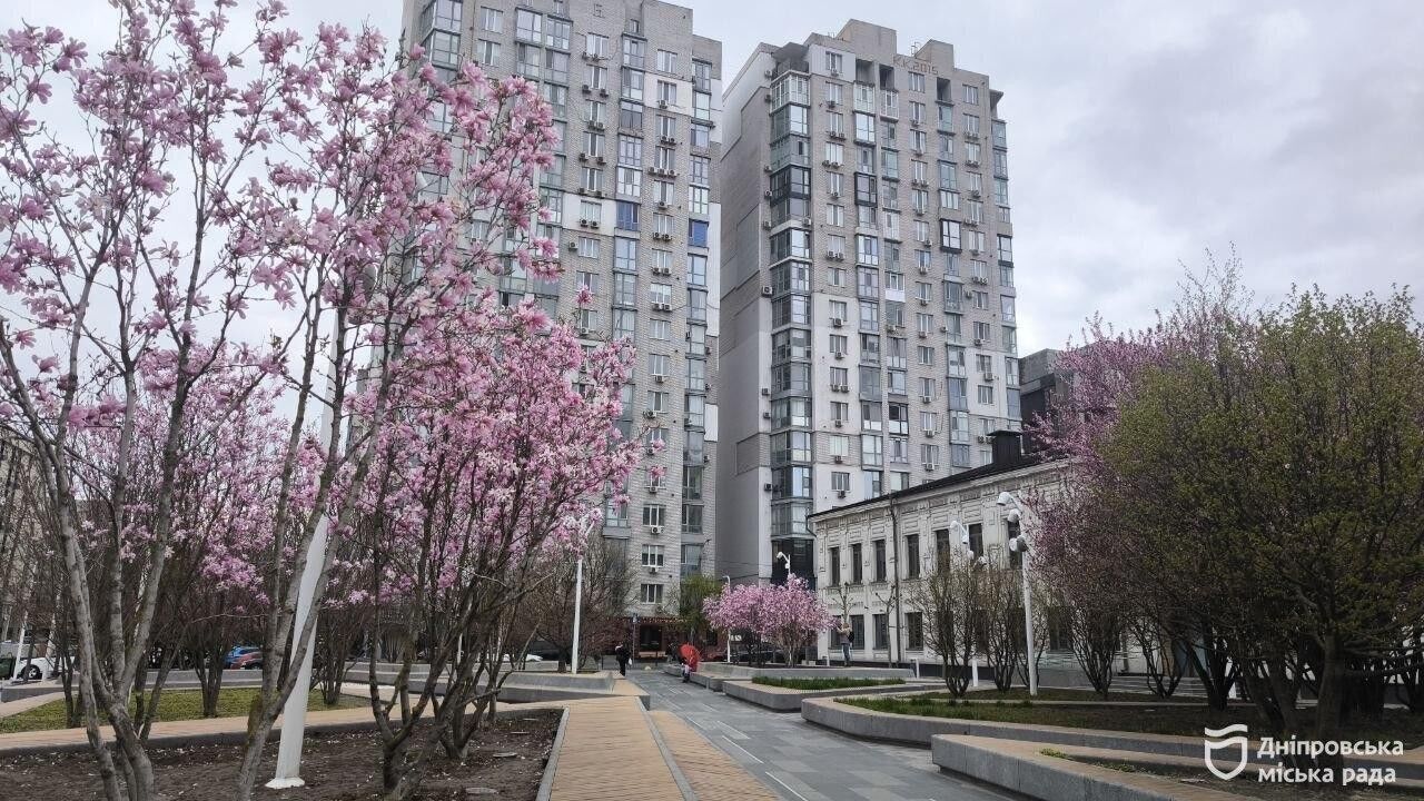 Днепр – город магнолий: где искать самые красивые цветущие деревья этой весной