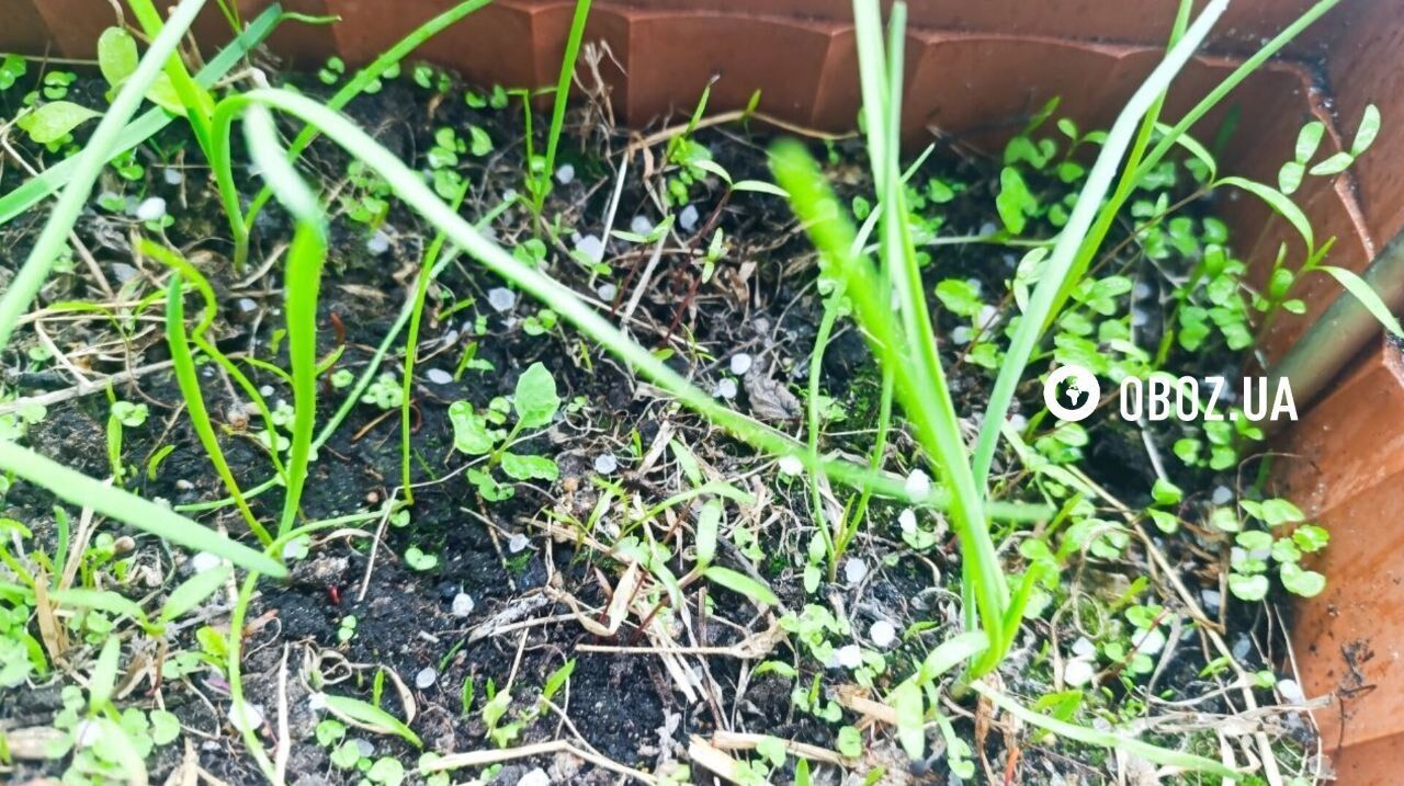 Киев утром накрыл сильный дождь с градом. Все подробности, фото и видео