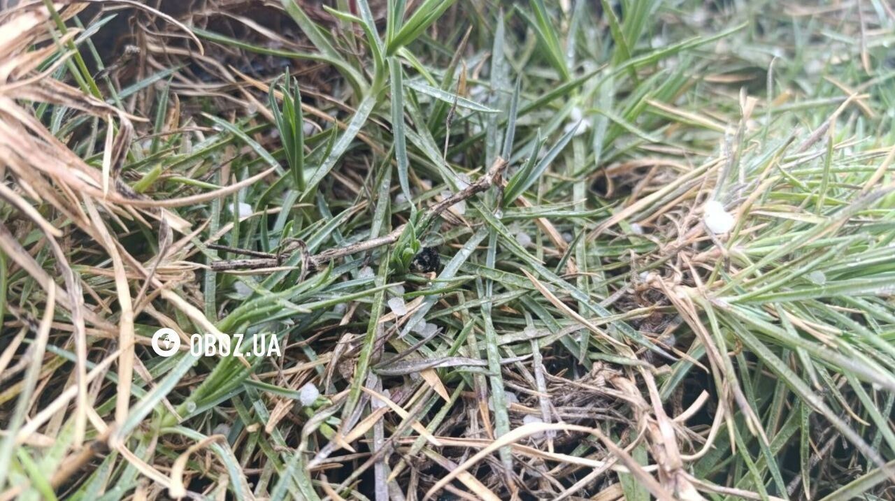 Киев утром накрыл сильный дождь с градом. Все подробности, фото и видео