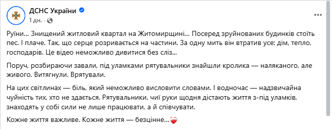 "Серце розривається": мережу вразили кадри з собакою, який плакав на руїнах знищеного Росією будинку. Фото і відео