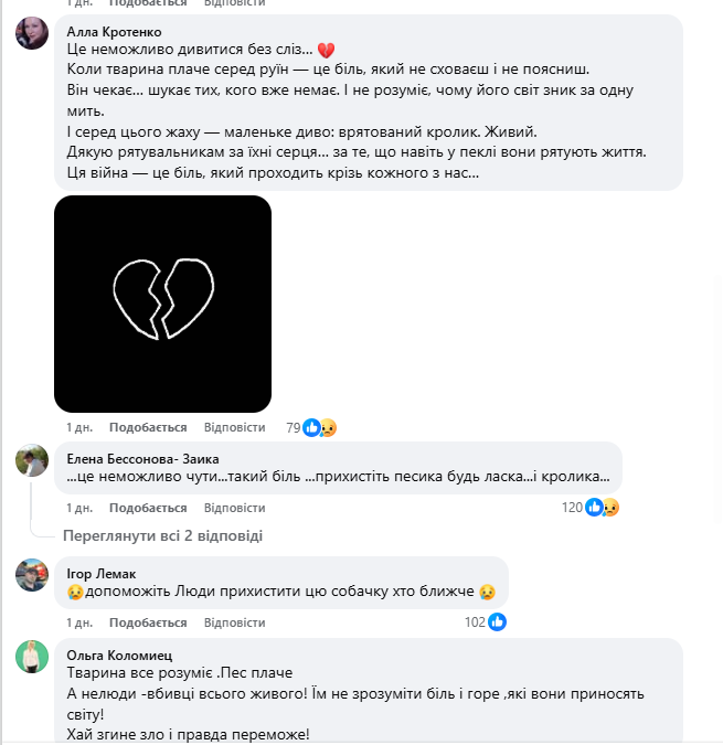 "Серце розривається": мережу вразили кадри з собакою, який плакав на руїнах знищеного Росією будинку. Фото і відео