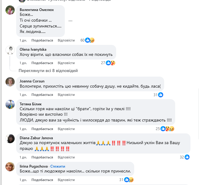 "Серце розривається": мережу вразили кадри з собакою, який плакав на руїнах знищеного Росією будинку. Фото і відео