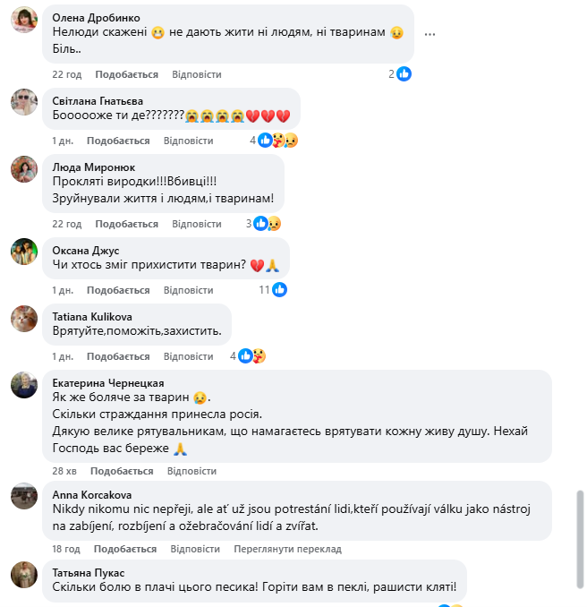 "Серце розривається": мережу вразили кадри з собакою, який плакав на руїнах знищеного Росією будинку. Фото і відео