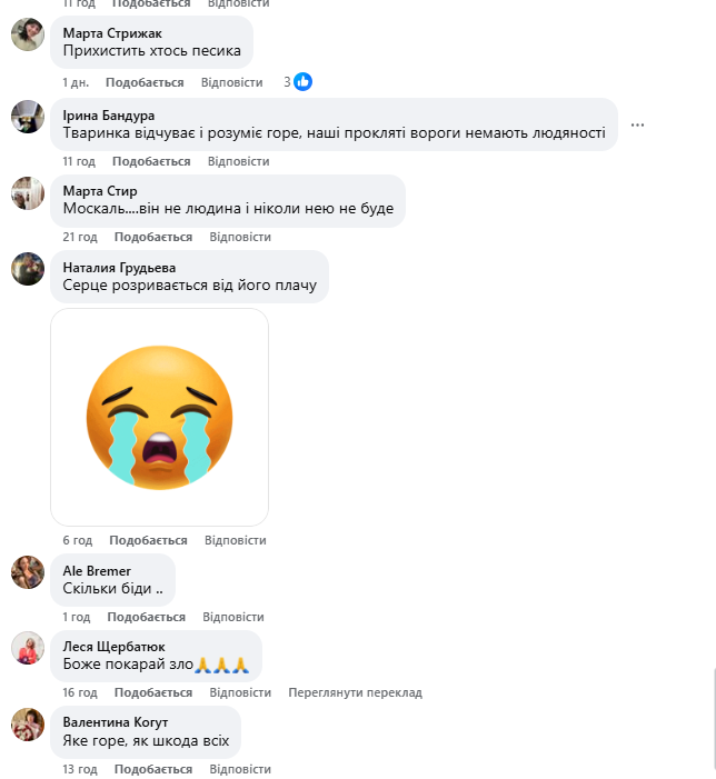 "Серце розривається": мережу вразили кадри з собакою, який плакав на руїнах знищеного Росією будинку. Фото і відео