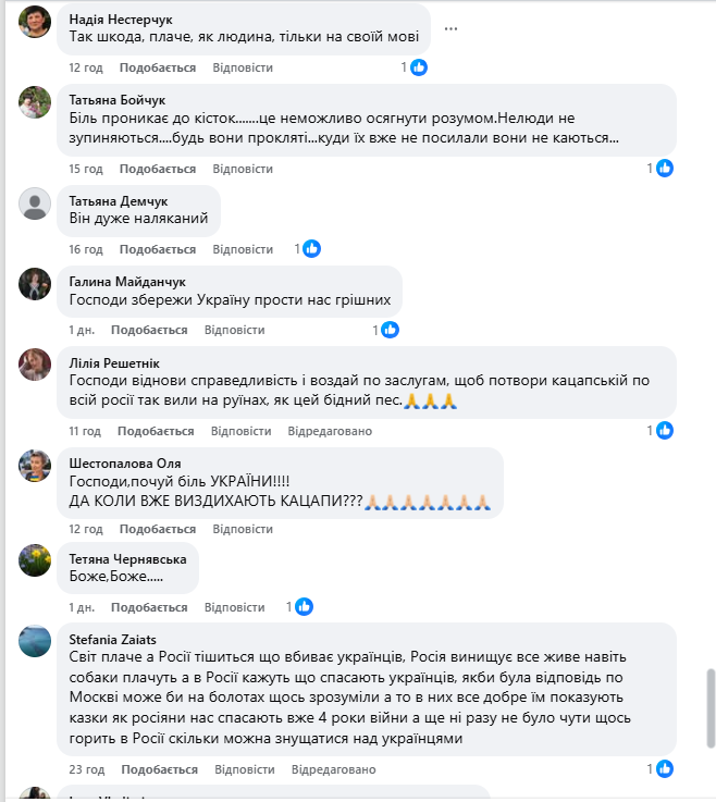 "Серце розривається": мережу вразили кадри з собакою, який плакав на руїнах знищеного Росією будинку. Фото і відео