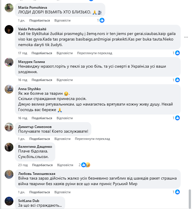 "Серце розривається": мережу вразили кадри з собакою, який плакав на руїнах знищеного Росією будинку. Фото і відео