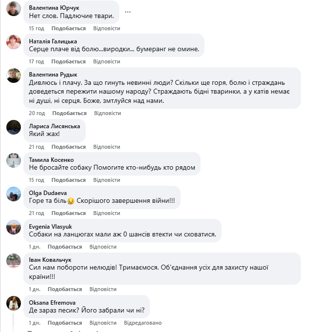 "Серце розривається": мережу вразили кадри з собакою, який плакав на руїнах знищеного Росією будинку. Фото і відео