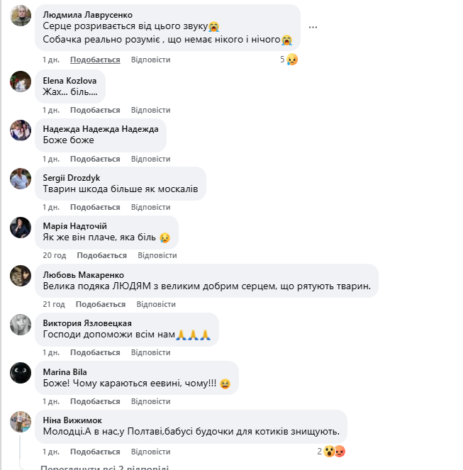 "Серце розривається": мережу вразили кадри з собакою, який плакав на руїнах знищеного Росією будинку. Фото і відео