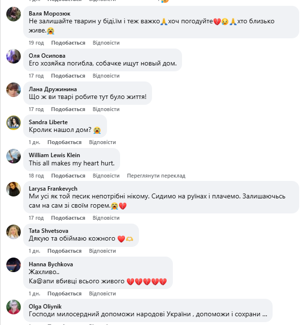 "Серце розривається": мережу вразили кадри з собакою, який плакав на руїнах знищеного Росією будинку. Фото і відео