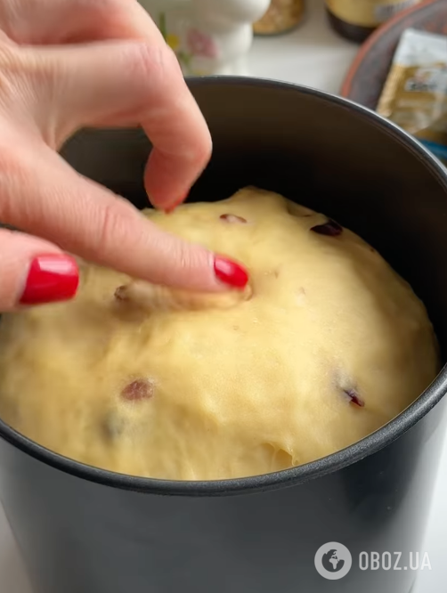 Пышная домашняя паска из 10 желтков: делимся рецептом самой удачной пасхальной выпечки