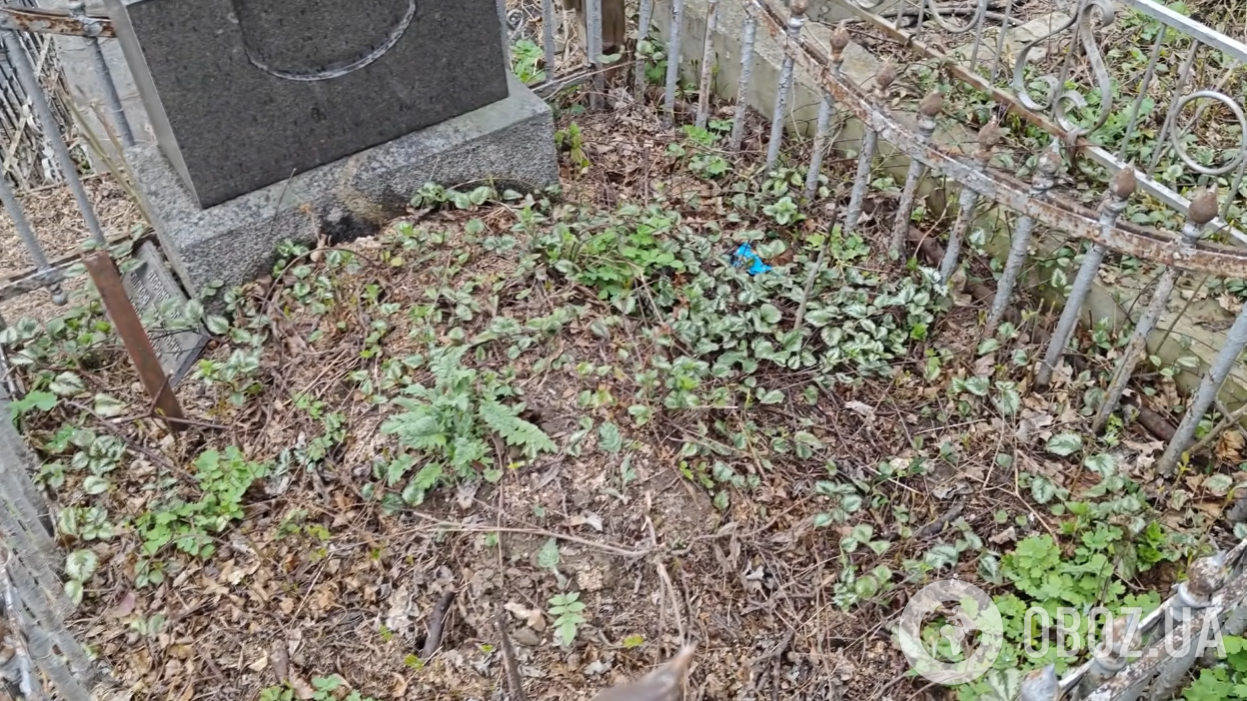 У мережі показали плачевний стан могил народних артистів і видатних українців: поросли мохом і майже канули в небуття. Фото