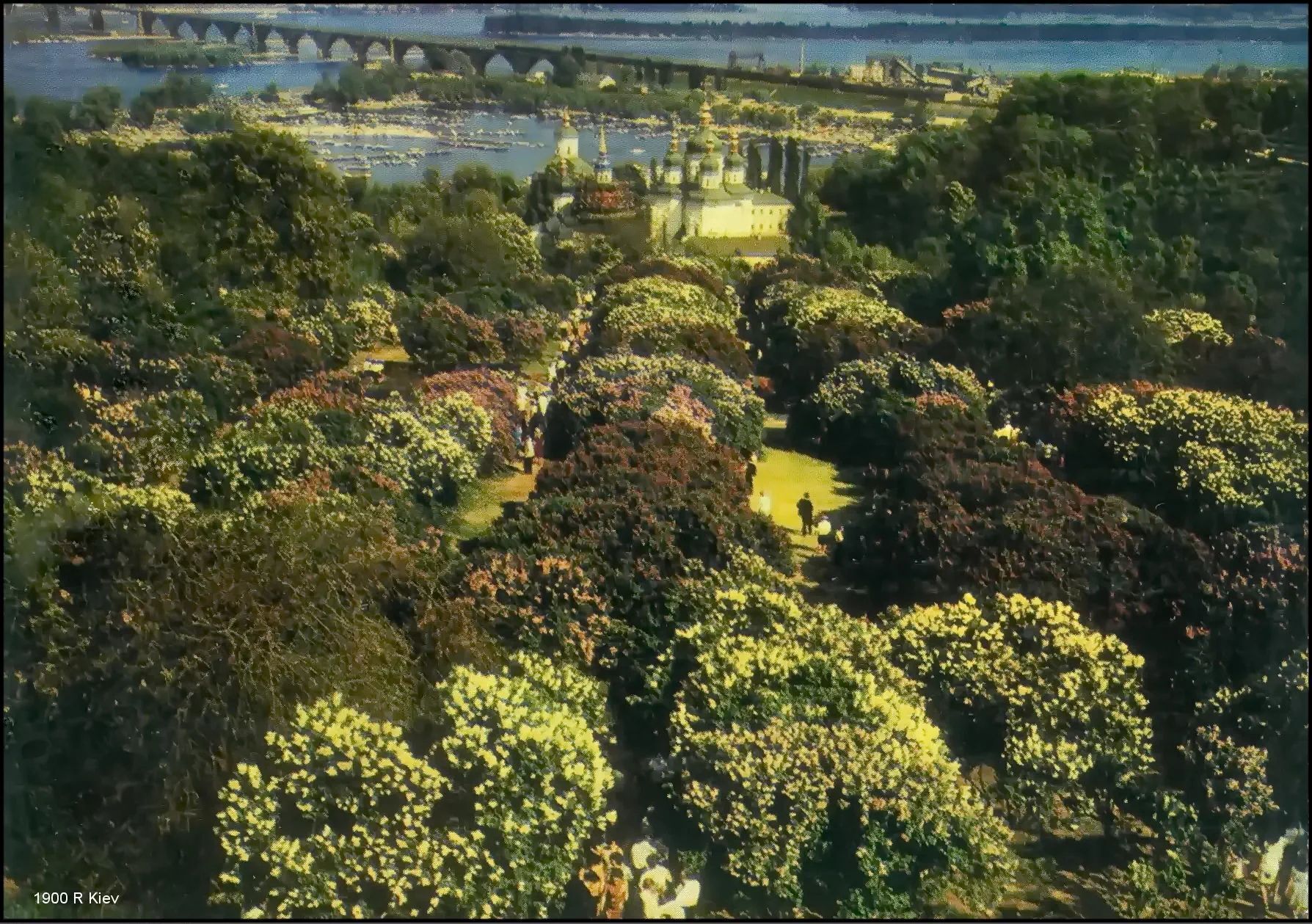 Весняна краса: у мережі показали, як цвіли бузки у ботсаду Гришка в 1970-х роках. Фото