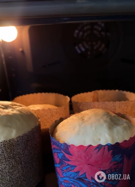 Класична дріжджова паска на молоці: як правильно готувати тісто, щоб воно вийшло пухким