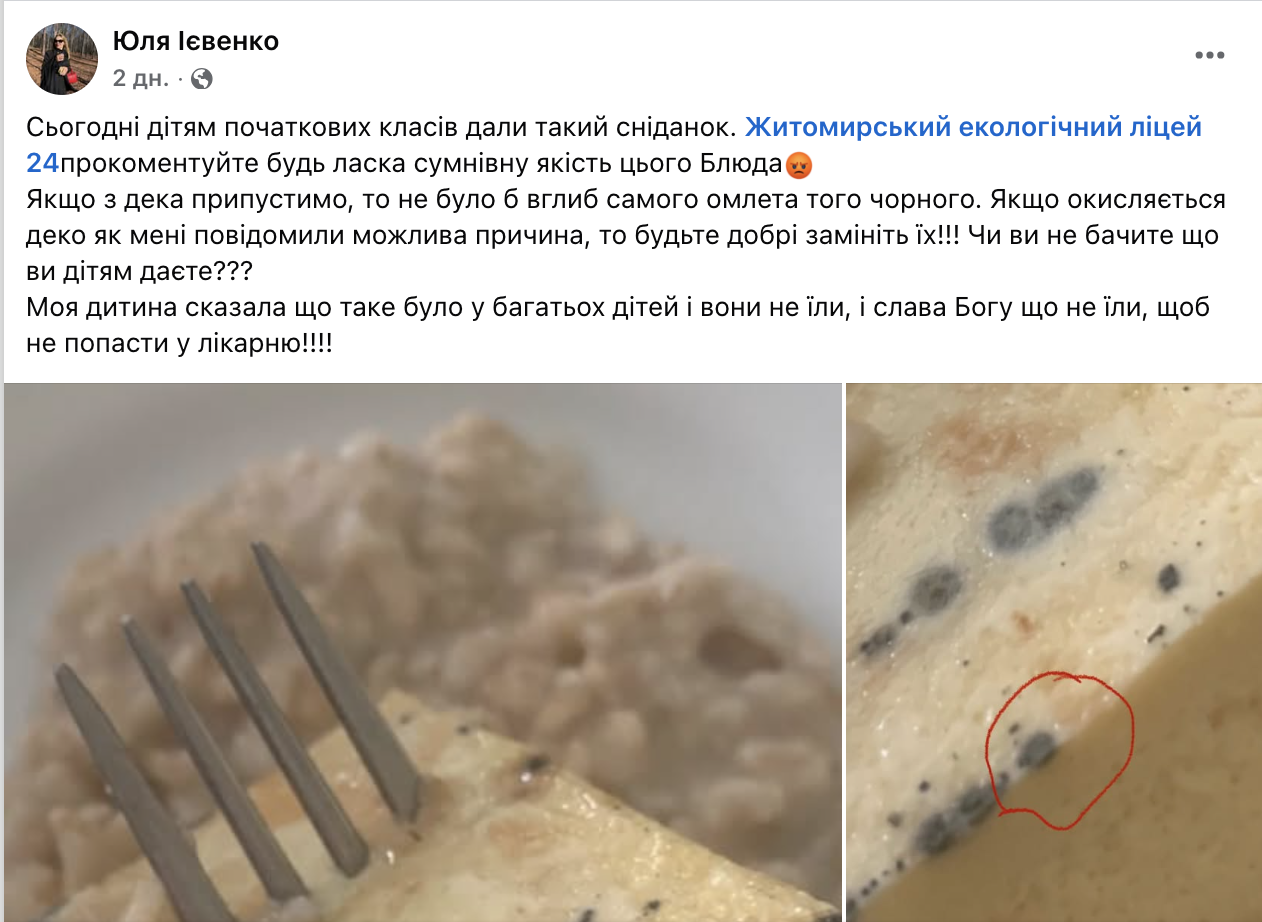 "Вы не видите, что детям даете?" В житомирском лицее разгорелся скандал из-за омлета с черными пятнами: что показала проверка