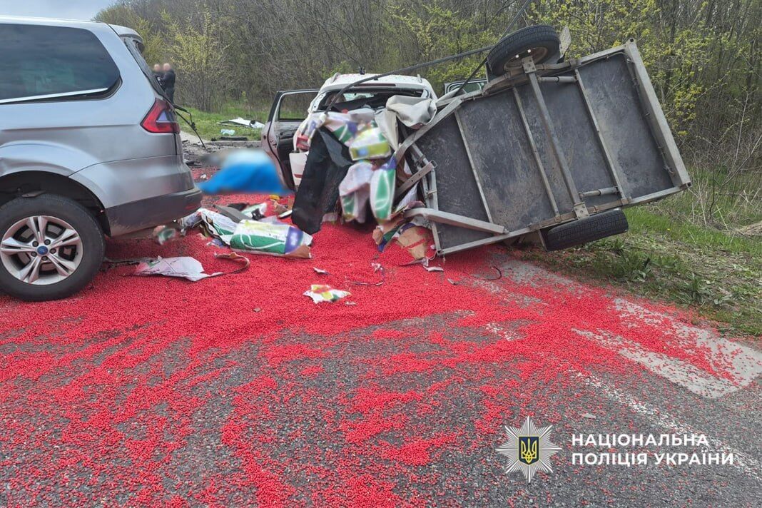 Водій виїхав на зустрічну: нові подробиці ДТП на Черкащині, в якій загинули два працівники ТЦК і цивільний. Фото