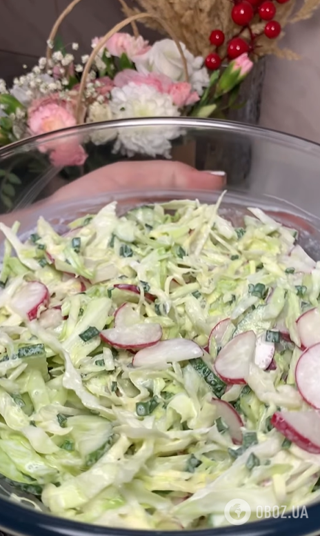 Какой вкусный салат приготовить из молодой капусты: лучшая весенняя закуска