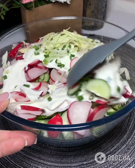 Какой вкусный салат приготовить из молодой капусты: лучшая весенняя закуска