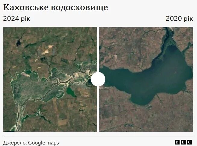 В Запорожье на берегу Днепра нашли огромного осетра: как он туда попал. Видео
