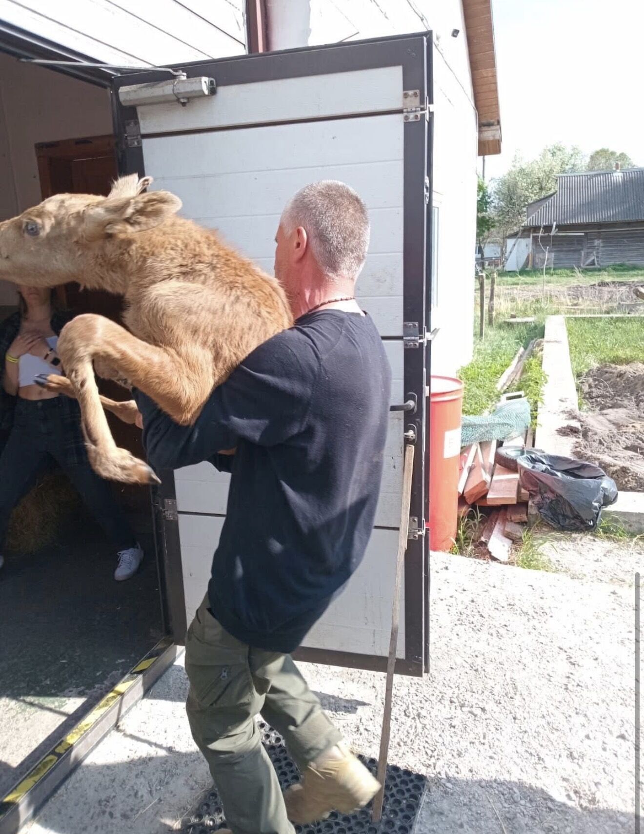 Із вогняної пастки в Зоні відчуження врятували вже друге лосеня. Фото