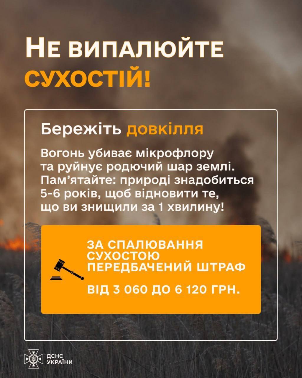 Почти 2250 гектаров украинской земли выгорело в результате пожаров в экосистемах: в каких областях больше всего