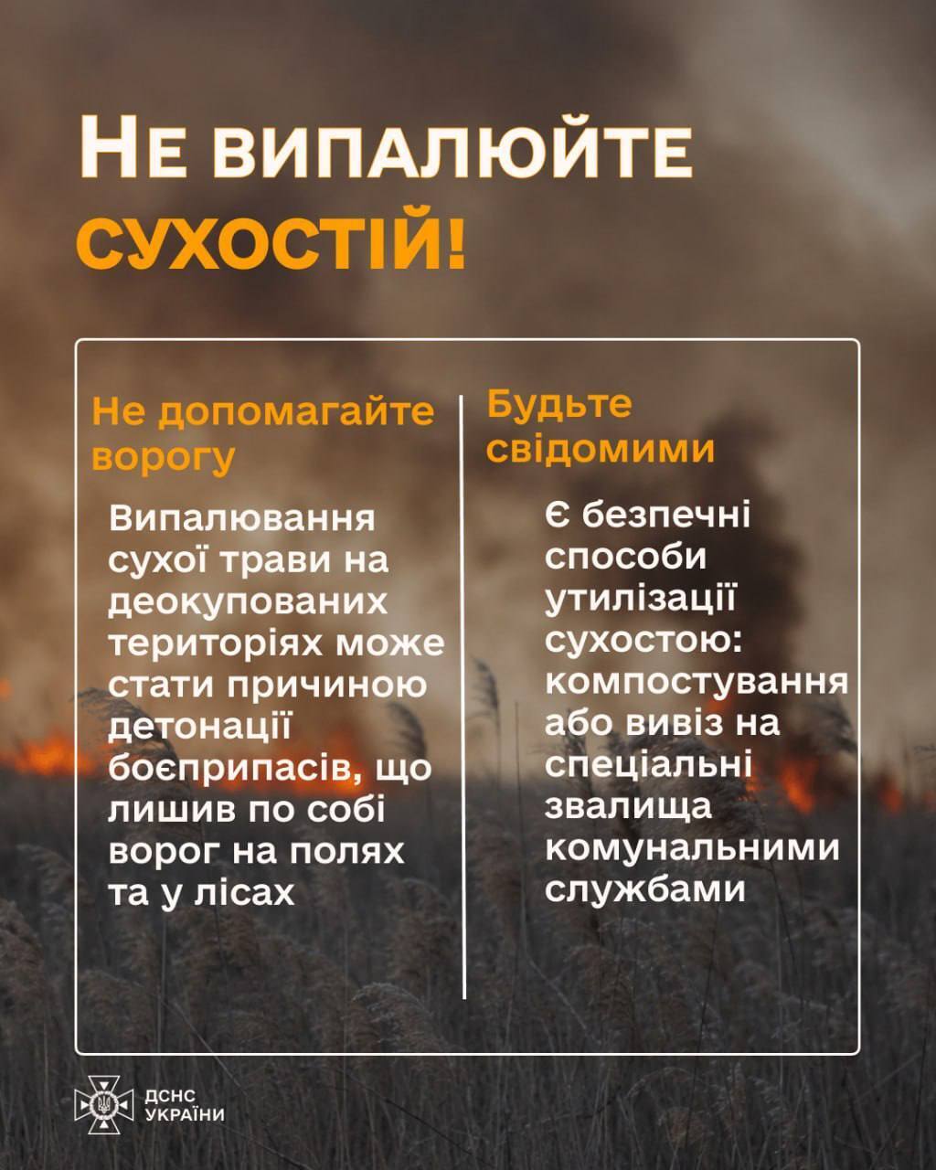Почти 2250 гектаров украинской земли выгорело в результате пожаров в экосистемах: в каких областях больше всего