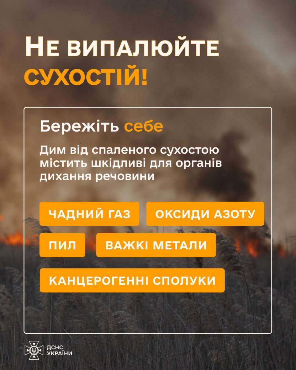 Почти 2250 гектаров украинской земли выгорело в результате пожаров в экосистемах: в каких областях больше всего