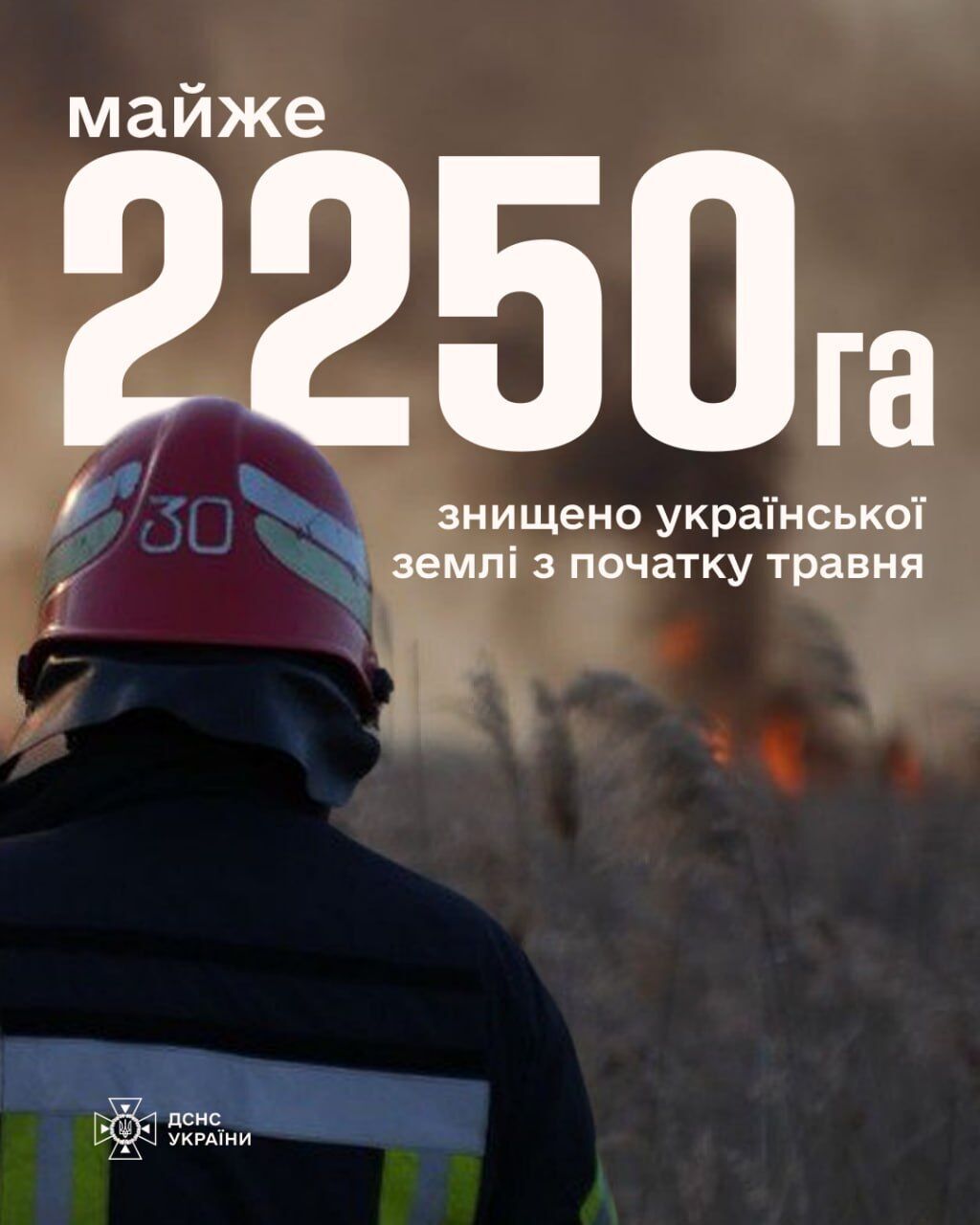 Почти 2250 гектаров украинской земли выгорело в результате пожаров в экосистемах: в каких областях больше всего