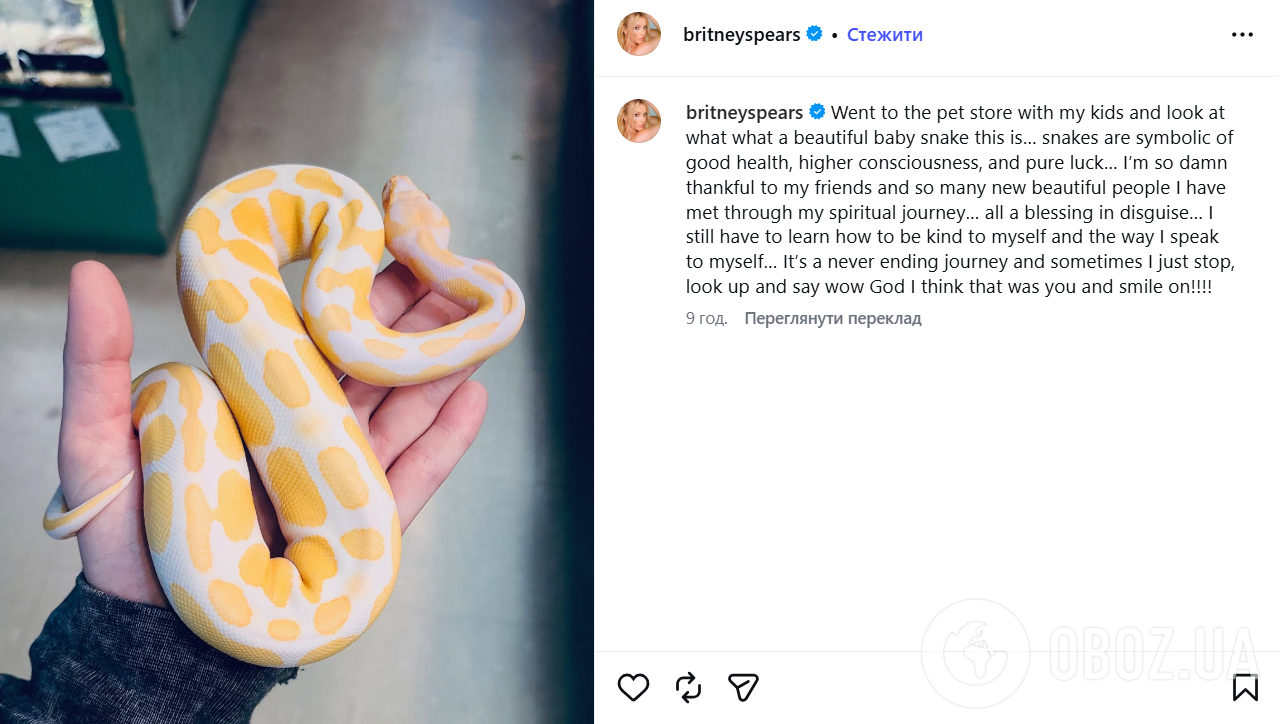 Брітні Спірс вперше вийшла на зв'язок після уникнення арешту за п'яну їзду: зірка назвала інцидент "благословенням"