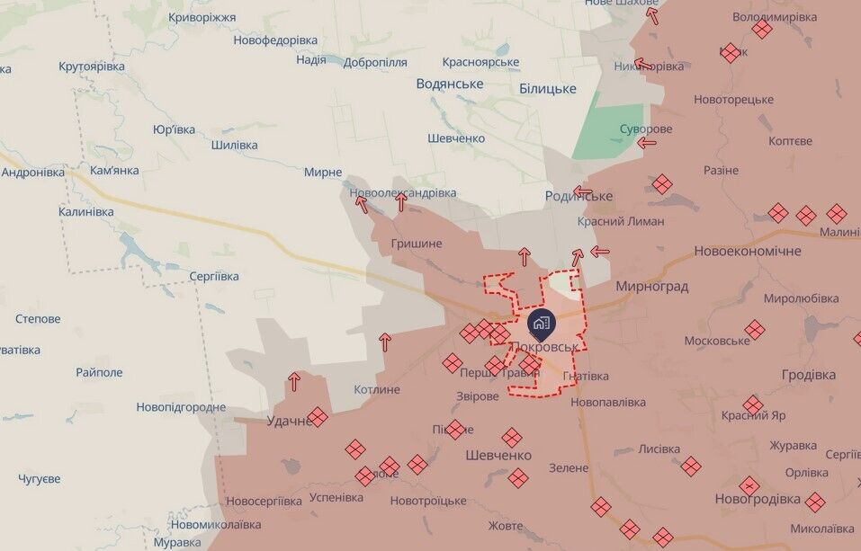 Полювання з неба: поліцейські дронарі показали, як нищать ворожу піхоту на Покровському напрямку. Відео