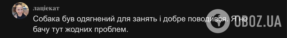 "Який собака? Я бачу студента, що хоче дізнатися більше". Мережу вразила реакція викладача історії на таксу в авдиторії: вірусне відео