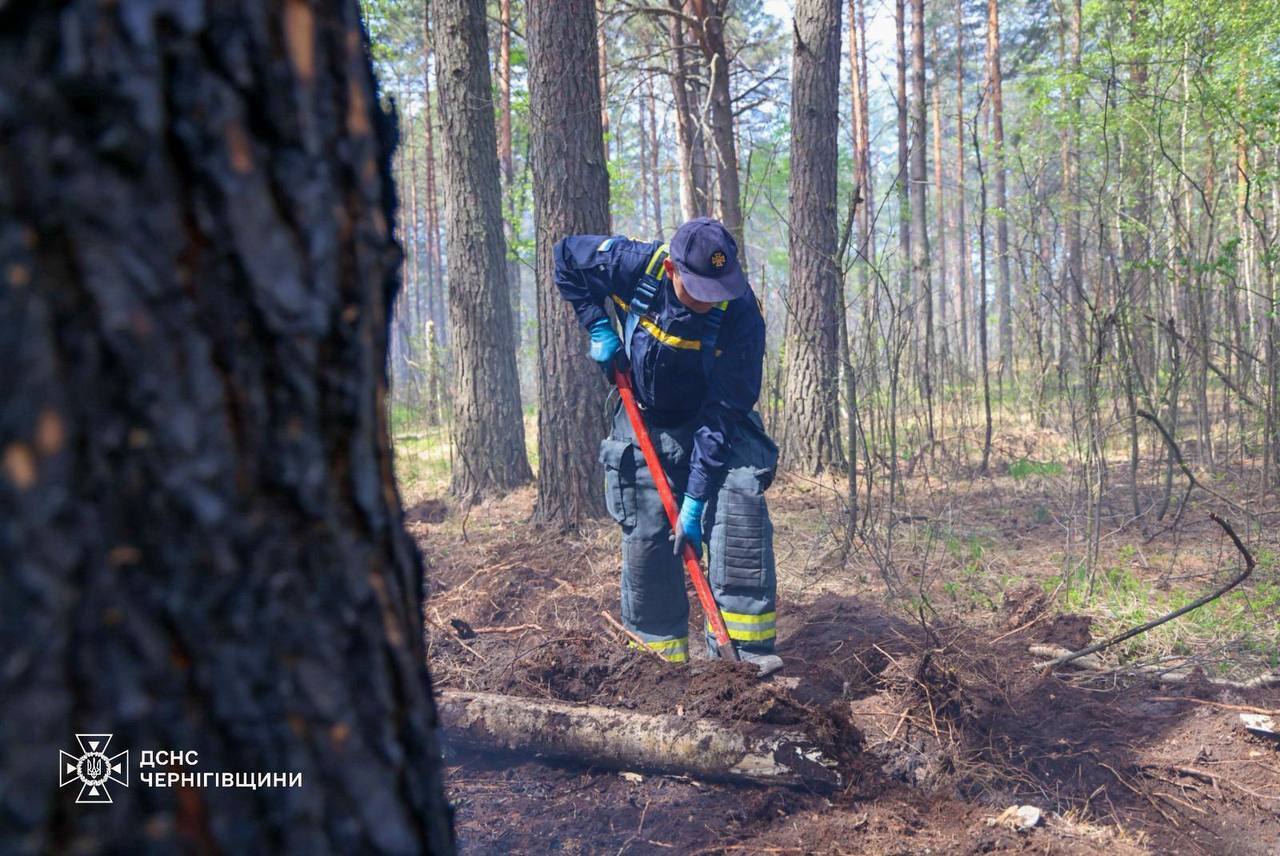 Вогонь охопив 350 гектарів: на Чернігівщині загасили масштабну лісову пожежу, що вирувала з минулого тижня. Фото